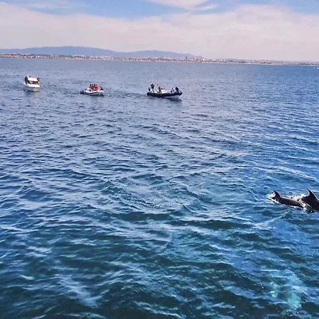 Haven By Algarve Vacation